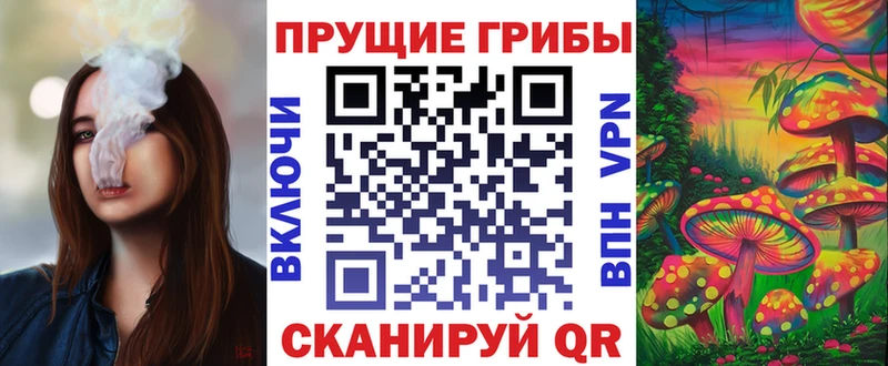 Купить  Лагань  Псилоцибиновые грибы GOLDEN TEACHER 